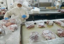 Japón Abre Sus Puertas a la Carne Argentina: Un Acuerdo Histórico Tras 20 Años