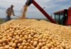 120.000 Puestos Rurales en Peligro por la Caducidad de Planes Sociales