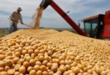 120.000 Puestos Rurales en Peligro por la Caducidad de Planes Sociales