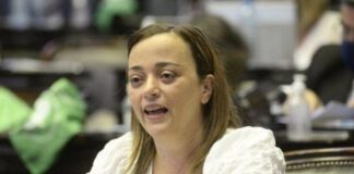 Cecilia Moreau Alertó sobre el Impacto del Tarifazo por la Restricción del Régimen de Zona Fría