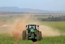 Inversión histórica: Pampa Energía construirá planta de fertilizantes por US$2.700 millones