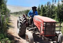 Aumento Salarial Histórico para Trabajadores Rurales: El Salario Básico Alcanzará los $1,2 Millones en Octubre