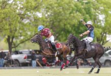 Triunfos destacados en el Abierto de Tortugas: La Natividad-La Dolfina y Ellerstina-La Zeta brillan en la cancha