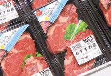 Japón abre sus puertas a la carne argentina: un hito para la industria ganadera