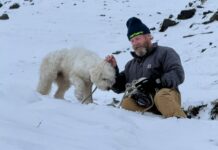 Una perra sobrevive más de 50 horas en Alaska gracias a un AirTag