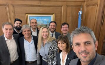 Reforma Electoral: La Iniciativa del Gobierno en el Limbo