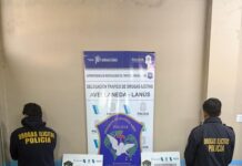 Desmantelan red de narcomenudeo en Villa Sapito: un operativo sorprendente