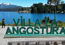 Conductor Huyó Tras Atropellar Mortalmente a Hombre en Silla de Ruedas