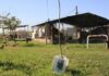 Identifican restos de joven desaparecido en 1976 en Tucumán