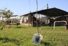 Identifican restos de joven desaparecido en 1976 en Tucumán