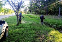 Denuncian que la recolección de basura consume el 42% de la recaudación municipal