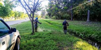 Denuncian que la recolección de basura consume el 42% de la recaudación municipal