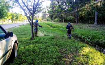 Denuncian que la recolección de basura consume el 42% de la recaudación municipal