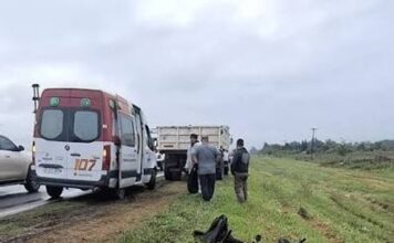 Tragedia en Berazategui: ciclista fallece tras ser atropellada por camión municipal