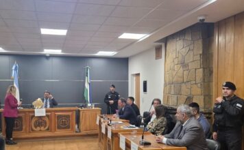 Culpable de Femicidio: Policías y Testigos Marcan el Juicio a Emerson Marín
