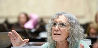 Diputada solicita aclaraciones sobre vuelo de Flávio Bolsonaro en medio de controversia