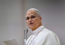 El Senado Argentino Da la Bienvenida al Papa León XIV en su Próxima Visita
