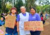 Conflicto Docente en Misiones: Paro y Denuncias Marcan la Gestión de Passalacqua