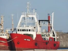 Tragedia en alta mar: Marinero fallece tras accidente en un buque pesquero