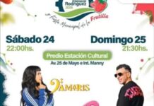 Controversia en la Fiesta Municipal de la Frutilla: La Re Pandilla desmiente acuerdo con el municipio