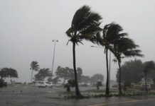 Huracán Isaías deja una estela de destrucción y cuatro muertes en Florida