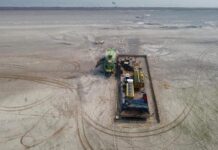 Cambio Climático: La Caatinga de Brasil en Riesgo de Desertificación Acelerada