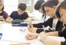 Alarma educativa: solo el 19% de los estudiantes argentinos de 15 años logra conocimientos básicos