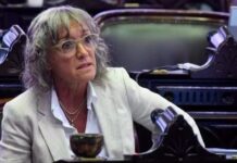 Mónica Frade Advierte sobre Temas Críticos en la Cámara Baja: Mora y Emergencia en Discapacidad