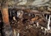 Descubren vivienda de la Edad de Piedra sellada por 16.800 años en una cueva