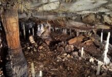 Descubren vivienda de la Edad de Piedra sellada por 16.800 años en una cueva