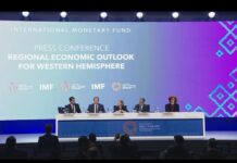 El FMI Confirma Perspectivas de Crecimiento para Argentina, Pero Advierte sobre el Mercado Laboral