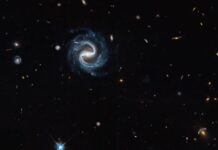 El Telescopio Hubble Captura Galaxias a Miles de Millones de Años Luz para Preparar el Futuro del Observatorio Roman