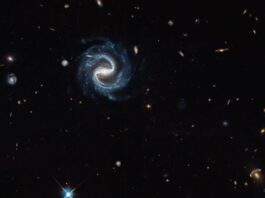 El Telescopio Hubble Captura Galaxias a Miles de Millones de Años Luz para Preparar el Futuro del Observatorio Roman