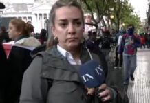 Violencia en la Quinta Marcha Federal Universitaria: Agresión a periodista de LN+