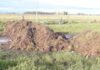 Escándalo en Olavarría: Productores indignados por bloqueo de calle ante ola de robos de ganado
