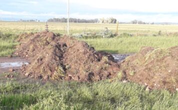 Escándalo en Olavarría: Productores indignados por bloqueo de calle ante ola de robos de ganado