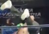 Tragedia en el cuadrilátero: árbitro de lucha libre fallece tras llave mortal