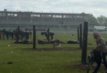 Tragedia en el Jockey Club: Un rayo cobra la vida de cuatro yeguas de polo