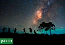 El Cielo Nocturno en Peligro: La Contaminación Lumínica Afecta a Más de la Mitad de los Argentinos