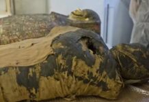 Museos de Escocia Retiran Restos Egipcios de Exhibición y Generan Controversia