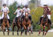 ¡Récord de Goles en el Abierto de Tortugas! La Hache y La Irenita deslumbran en la cancha