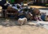 Una perrita llamada Treasure espera tres días a su familia abandonada en Texas
