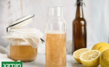 Primavera en la cocina: Potencia tus platos con fermentados y germinados