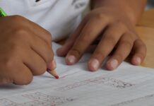 Aumento de la Asignación Universal por Hijo: ¿Cuánto se cobrará en noviembre de 2026?