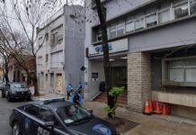 Escándalo en comisaría: Policía mata a perra callejera y enfrenta causas penales
