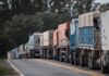El Aumento en las Declaraciones Juradas de Ventas Exteriores: Trigo y Maíz a la Cabeza