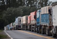 El Aumento en las Declaraciones Juradas de Ventas Exteriores: Trigo y Maíz a la Cabeza