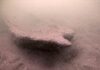 Descubren una canoa indígena de 1000 años en un lago de Wisconsin
