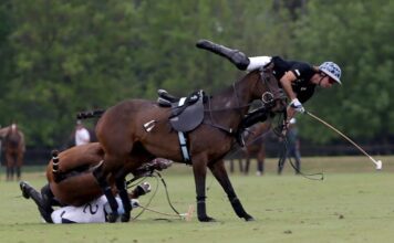 La importancia de aprender a caer en el polo: una habilidad vital en el deporte