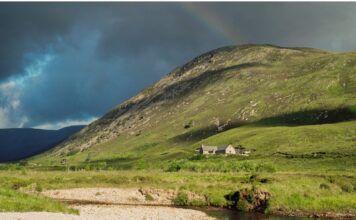 Un Empresario Británico Revitaliza una Estancia Escocesa: Un Millón de Árboles y el Regreso de la Ardilla Roja